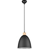 HLW LED Matt Black LED Pendant Lamp Trion Jaguar - Aluminum, 40W, E27 Fitting
