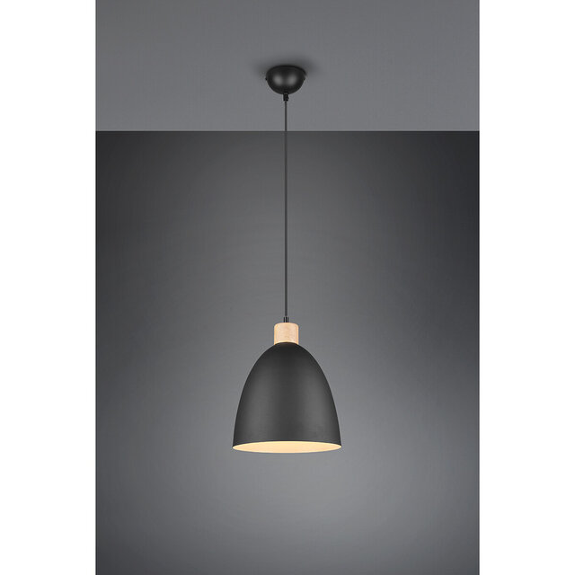 HLW LED Matt Black LED Pendant Lamp Trion Jaguar - Aluminum, 40W, E27 Fitting