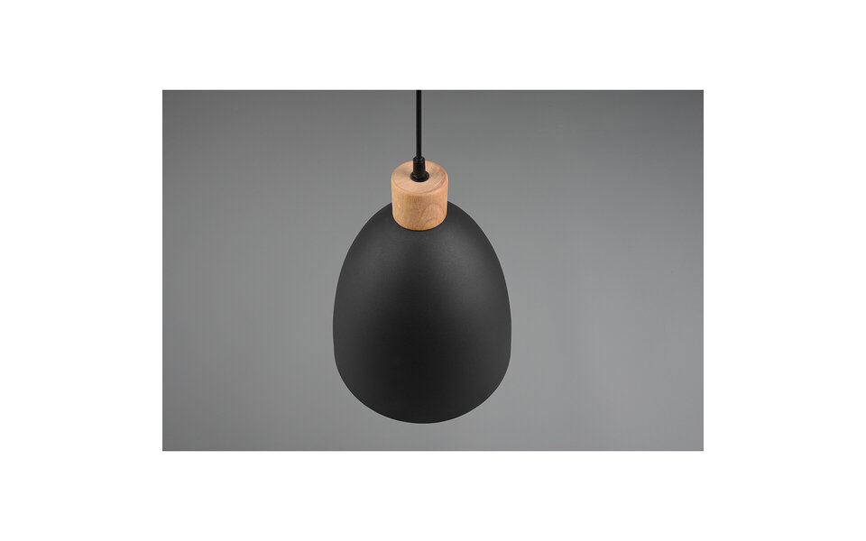 HLW LED Matt Black LED Pendant Lamp Trion Jaguar - Aluminum, 40W, E27 Fitting