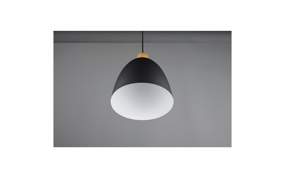 HLW LED Matt Black LED Pendant Lamp Trion Jaguar - Aluminum, 40W, E27 Fitting