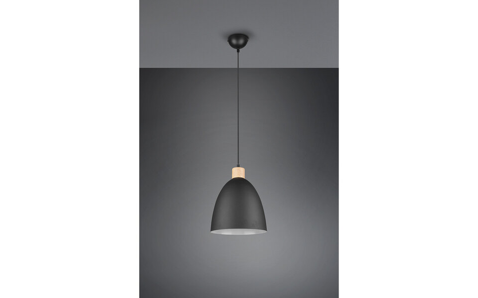 HLW LED Matt Black LED Pendant Lamp Trion Jaguar - Aluminum, 40W, E27 Fitting