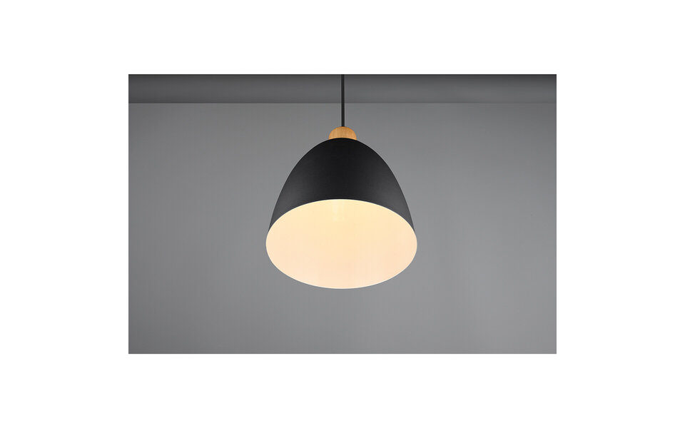 HLW LED Matt Black LED Pendant Lamp Trion Jaguar - Aluminum, 40W, E27 Fitting