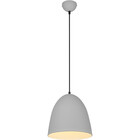 HLW LED Moderne Grijze LED Hanglamp - Trion Lopez 1-lichts Aluminium E27