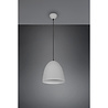 HLW LED Modern Gray LED Pendant Lamp - Trion Lopez 1-light Aluminum E27