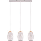 HLW LED Modern Metal LED Pendant Lamp Trion Dabi - Matte White, 3-light E27, Adjustable