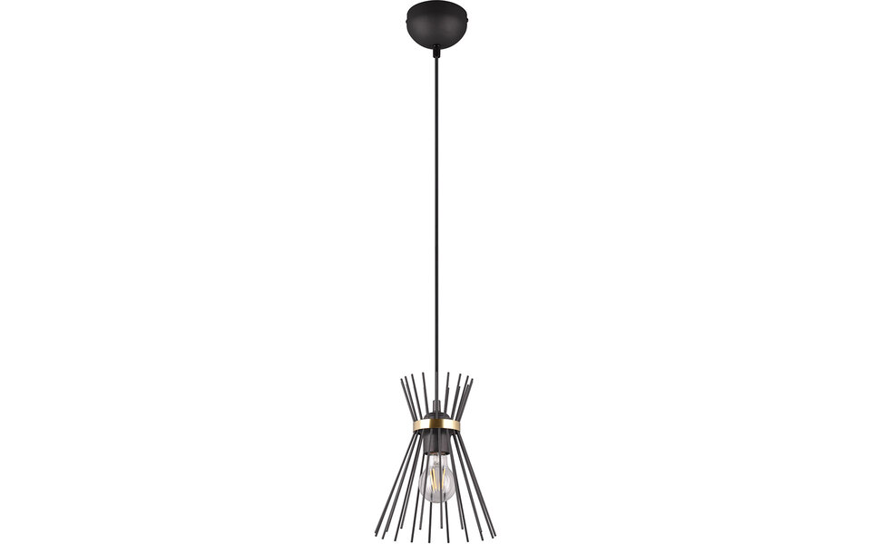 HLW LED Metal LED Pendant Lamp Trion Drado - Black & Gold LED Pendant Lamp E27