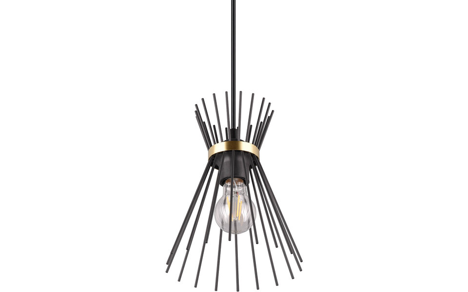 HLW LED Metal LED Pendant Lamp Trion Drado - Black & Gold LED Pendant Lamp E27