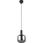 HLW LED Moderne Zwarte LED Hanglamp met Glas en Metaal - Verstelbare Trion Pala