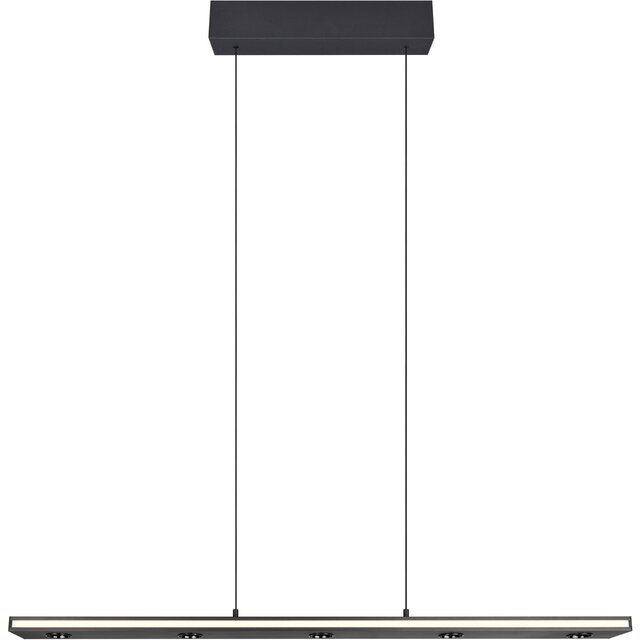 HLW LED Dimmable Black LED Pendant Light 5W - Metal LED Lamp with Adjustable Color