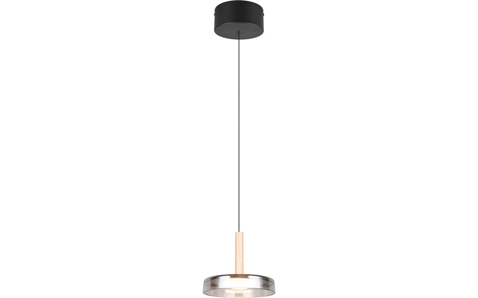 HLW LED Metal Dimmable LED Pendant Light 10W - Black & White - Warm White 3000K