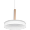 HLW LED Dimmable Metal LED Pendant Lamp 10W - Warm White 3000K - Trion Lester