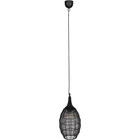 HLW LED LED Pendant Lamp Trion Sorana - Black Metal LED Pendant Lamp with E27 Fitting