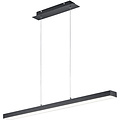 18W Dimmable LED Pendant Lamp Trion Agina - Matte Black, Aluminum, Adjustable Color