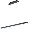 HLW LED 18W Dimmable LED Pendant Lamp Trion Agina - Matte Black, Aluminum, Adjustable Color