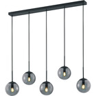 HLW LED Moderne LED Hanglamp Trion Balina - 5-lichts, Mat Antraciet & Rookglas