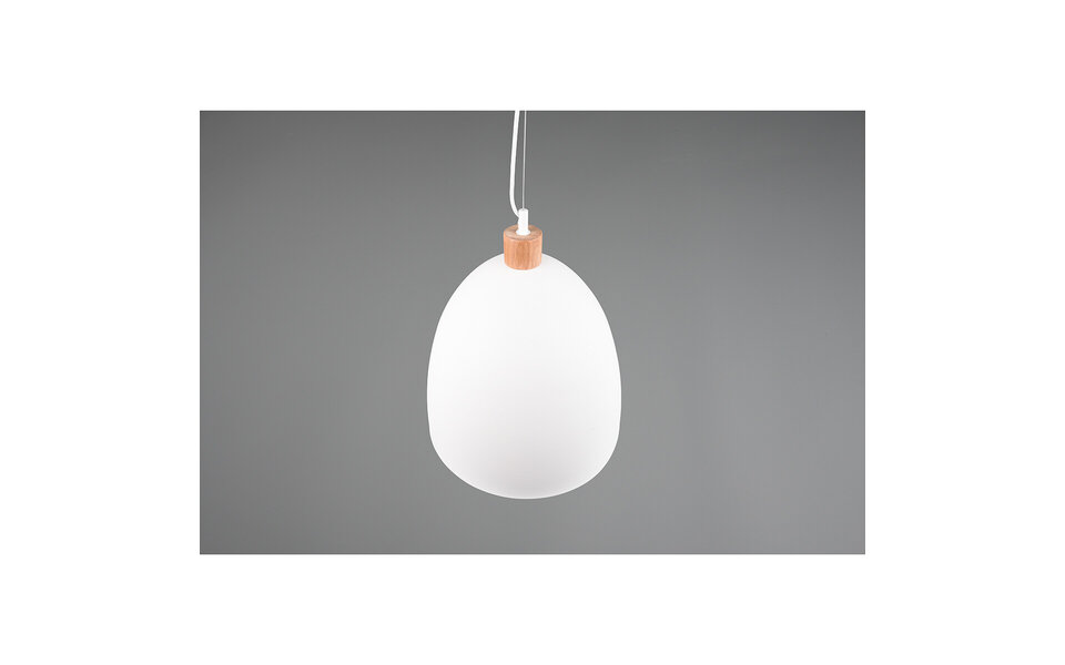 HLW LED White LED Pendant Lamp Trion Jaguar - Matte White Aluminum - 60W LED E27 HLW LED White LED Pendant Lamp Trion Jaguar - Matte White Aluminum - 60W LED E27