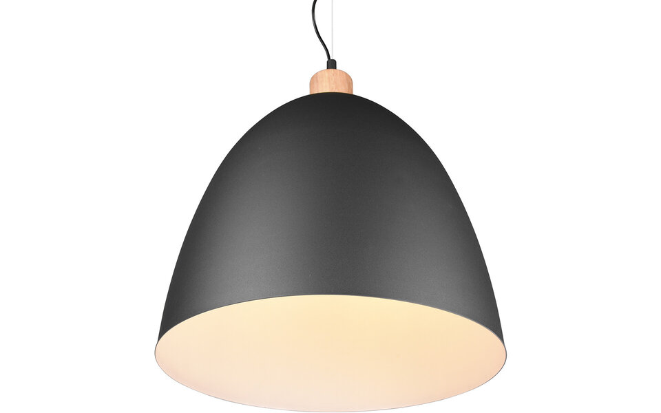 HLW LED Stijlvolle LED Hanglamp Trion Jaguar - Mat Zwart, 60W LED, E27 Fitting