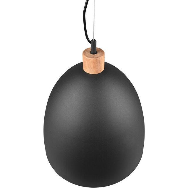 HLW LED Stijlvolle LED Hanglamp Trion Jaguar - Mat Zwart, 60W LED, E27 Fitting