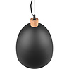 HLW LED Stylish LED Pendant Lamp Trion Jaguar - Matte Black, 60W LED, E27 Fitting