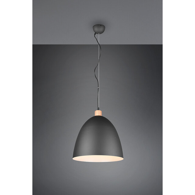 HLW LED Stijlvolle LED Hanglamp Trion Jaguar - Mat Zwart, 60W LED, E27 Fitting