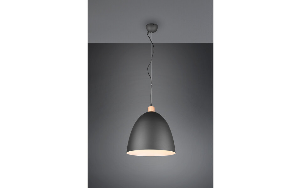 HLW LED Stylish LED Pendant Lamp Trion Jaguar - Matte Black, 60W LED, E27 Fitting