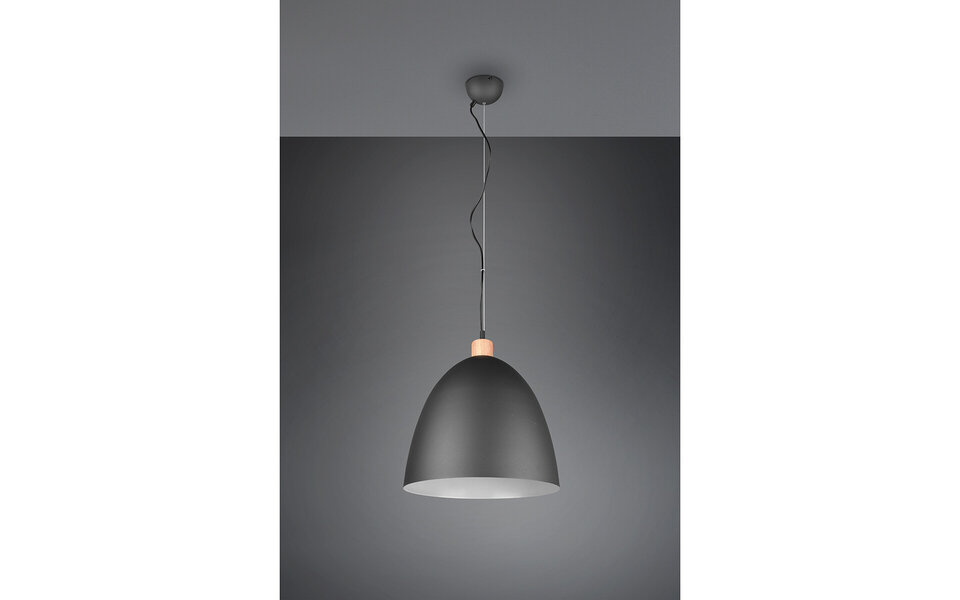 HLW LED Stijlvolle LED Hanglamp Trion Jaguar - Mat Zwart, 60W LED, E27 Fitting