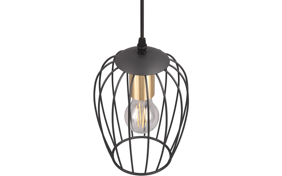 HLW LED Black Metal LED Pendant Lamp - Stylish LED Lamp with E27 Fitting