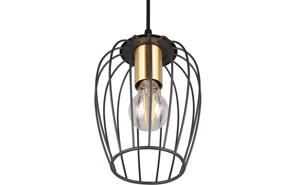 HLW LED Zwarte Metalen LED Hanglamp - Stijlvolle LED Lamp met E27 Fitting