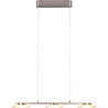Dimbare LED hanglamp in mat nikkel met modern design en warm wit licht van 9W vermogen