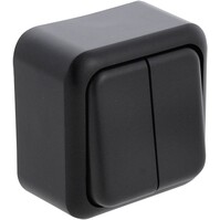 Q-LINK Double series switch matte black 2-button surface-mounted 250V
