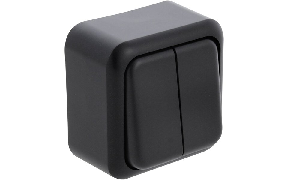 Q-LINK Q-LINK Double series switch matte black 2-button surface-mounted 250V Q-LINK Q-LINK Double series switch matte black 2-button surface-mounted 250V