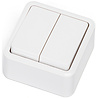 Dubbele witte serieschakelaar met twee knoppen voor opbouwmontage geschikt voor 250V en 10A Dubbele witte serieschakelaar met twee knoppen voor opbouwmontage geschikt voor 250V en 10A