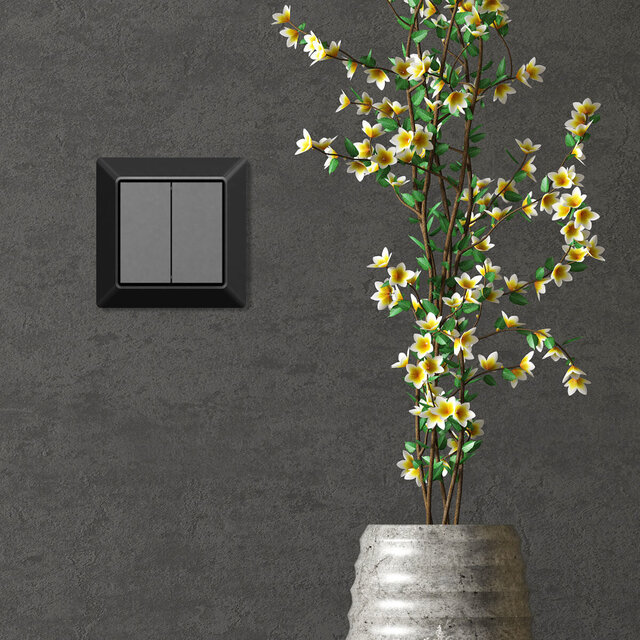 EcoDim EcoDim draadloze 2-voudige Zigbee schakelaar – Philips Hue