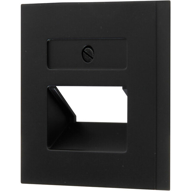 Mat zwarte afdekplaat met 2 UTP aansluitingen, thermoplast materiaal, strak en duurzaam ontwerp