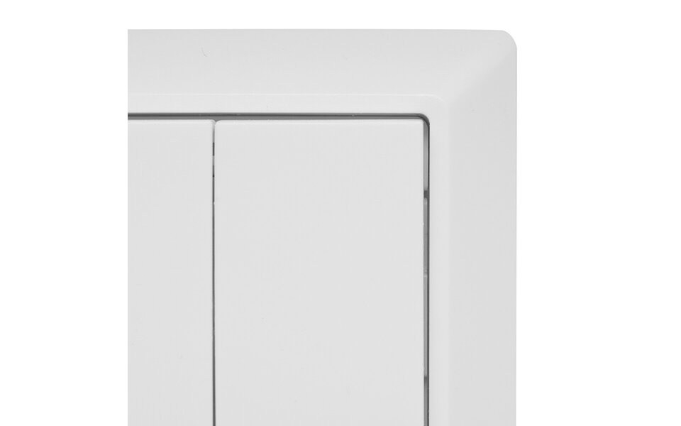 EcoDim EcoDim 2-voudige Zigbee smart schakelaar (Philips Hue)