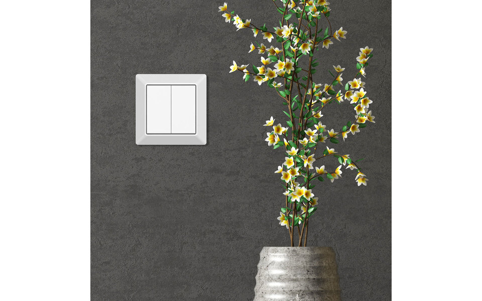 EcoDim EcoDim 2-way Zigbee smart switch (Philips Hue)