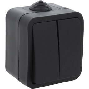 Q-LINK Dubbele Serieschakelaar 2-knoppen Mat Zwart IP54 Q-LINK Dubbele Serieschakelaar 2-knoppen Mat Zwart IP54