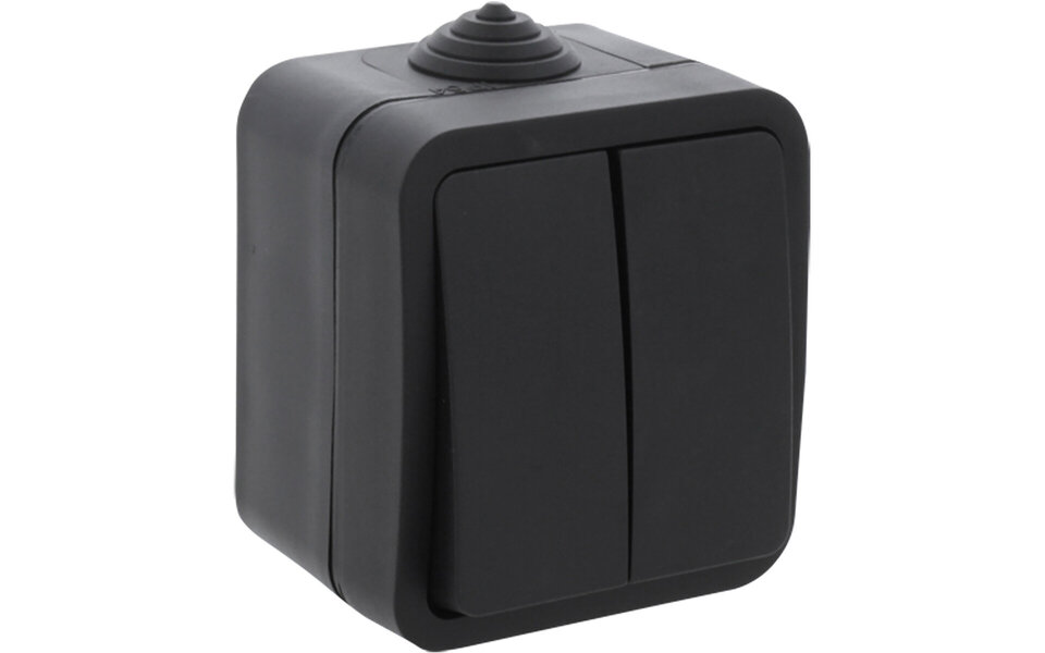 Q-LINK Q-LINK Double Series Switch 2-button Matte Black IP54