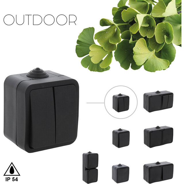 Q-LINK Q-LINK Double Series Switch 2-button Matte Black IP54