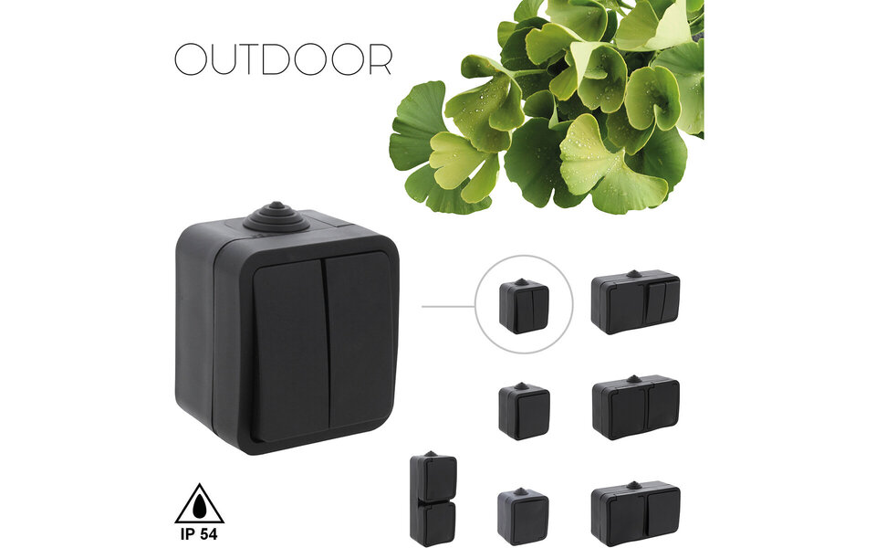 Q-LINK Q-LINK Double Series Switch 2-button Matte Black IP54