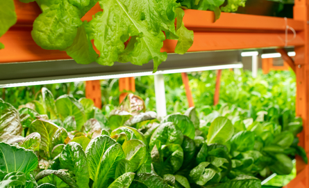 LED TL verlichting: de complete gids voor overstap