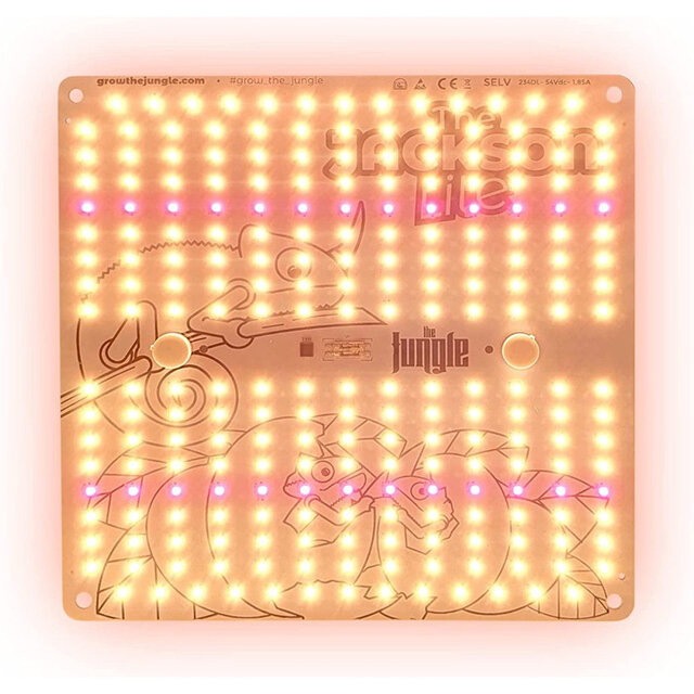 The Jungle The Jungle Jackson Lite 100W