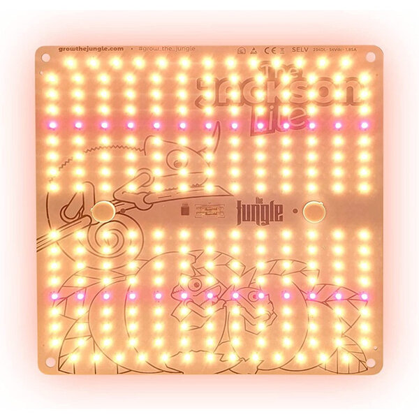 The Jungle The Jungle Jackson Lite 100W The Jungle The Jungle Jackson Lite 100W