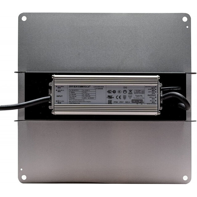 The Jungle The Jungle Jackson Lite 100W