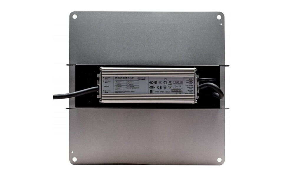 The Jungle The Jungle Jackson Lite 100W