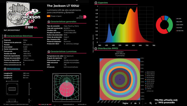 The Jungle The Jungle Jackson Lite 100W