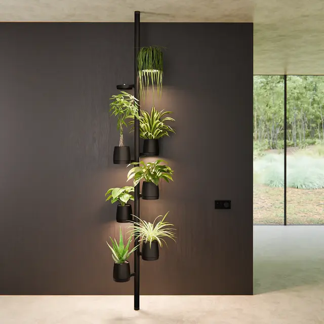 Mother Mother Forest - 8 PlantPods Mother Mother Forest - 8 PlantPods