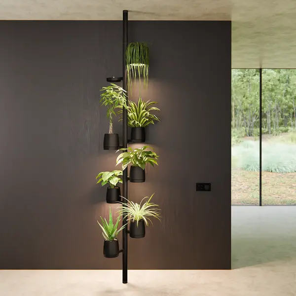 Mother Mother Forest - 8 PlantPods Mother Mother Forest - 8 PlantPods