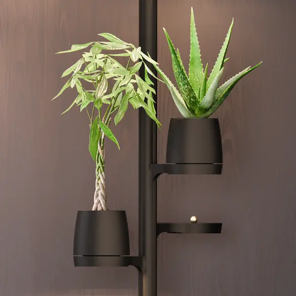 Mother Mother Forest - 8 PlantPods Mother Mother Forest - 8 PlantPods