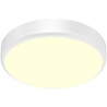 Brinton Gruna LED plafondlamp 20W met bewegingssensor Binnenverlichting Brinton Gruna LED plafondlamp 20W met bewegingssensor Binnenverlichting